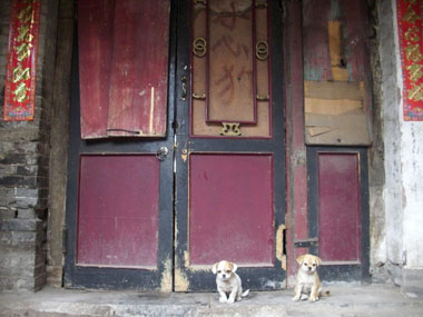 玄関と犬