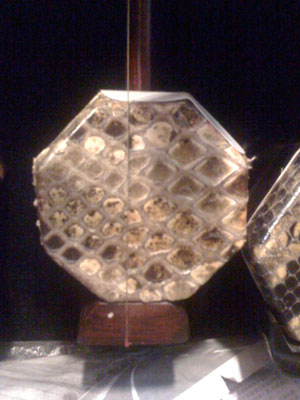 悪い二胡の蛇皮の例